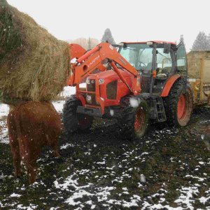 Snowy day, mud season, 30 Mar 2025