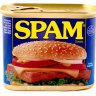 Spam Bot