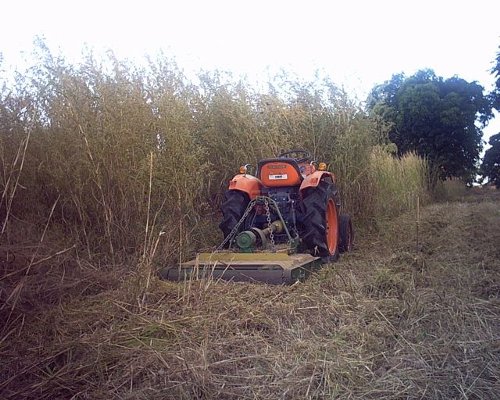 Mowing tall grass with Kubota